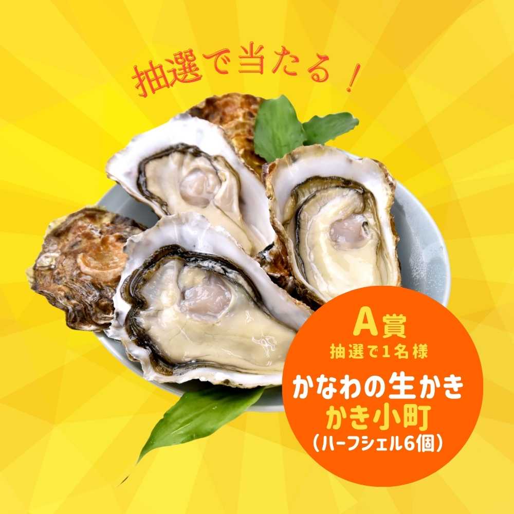 かなわ会員登録&インスタフォローキャンペーンA賞牡蠣プレゼント
