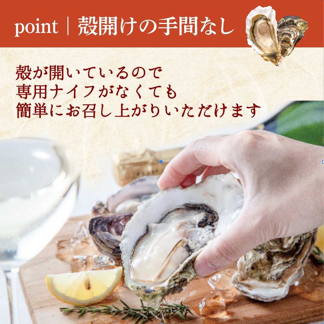 かなわの生かきパーティーセット 殻付きかき